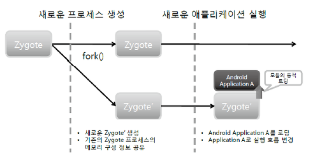 zygote_start